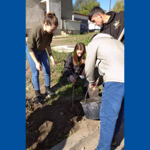 „Un arbore pentru dăinuirea noastră”. Proiect cl. X-XII în parteneriat cu APL Hîrbovăț