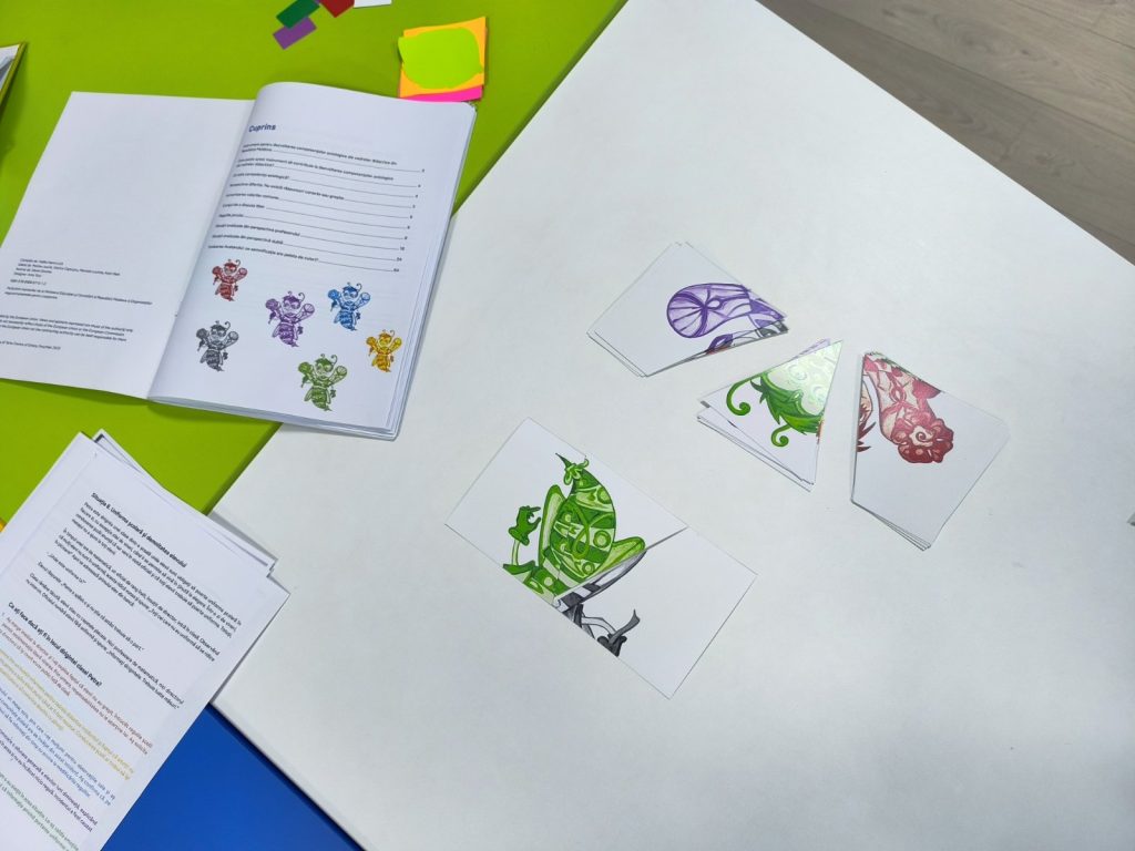 Activitatea mentorilor